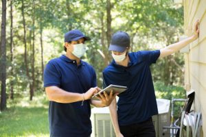 Professional Termite Inspection and Control